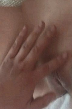 PANSСģαëӰʦͶ԰Ȥ